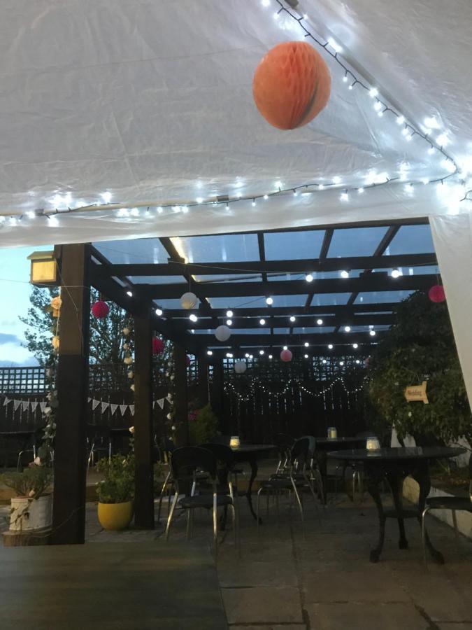 Albion Boutique Guest House 선덜랜드 외부 사진