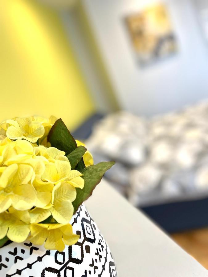 Albion Boutique Guest House 선덜랜드 외부 사진